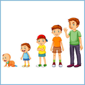 etapas de crecimiento del hijo