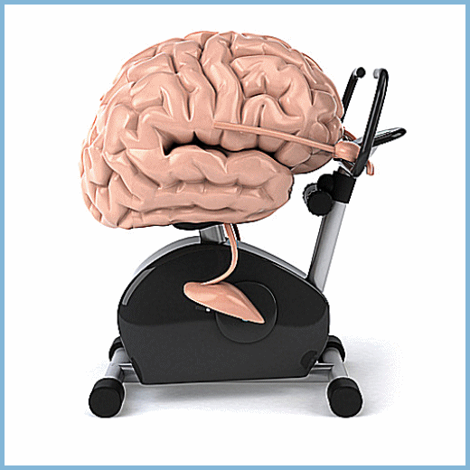 Gimnasio cerebral